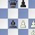 No Squares Left Werner Springe Vs Hans Gebhardt 1927