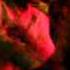 Meri Neend Udgayi Hai Full Song Kiss Kis Ko