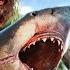 Maneater Game Castaway Easter Egg