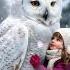 Heartwarming Bond Little Girl And Majestic Snow Owl Birds Owl Snow Mother