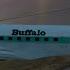 Fly Vintage Birds On The Go X Plane Global Mobile Showcase
