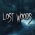 Lost Woods Slowed Reverb