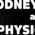 Why This Trick Should Be IMPOSSIBLE Ft Rodney Mullen Skateboarding Science