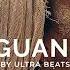Iguana Oriental Reggaeton Type Beat Instrumental Prod By Ultra Beats