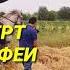 Хайриддини Бозор