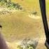 Eye In The Sky Helicopter Without Doors Safari Okavango Heliflip Wildlifephotography