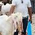 Riverfront Bakra Mandi On Sunday 1st June 2025