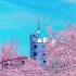 Korea Кореа Nature Travel Korea южнаякорея Blackpink Kpop Season кореа Trendingshorts