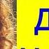 ДЖУХЕ ЧАВЛЕ 54 ГОДА