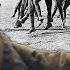 The Frontline Football Match Between Britain And Germany WW1 Christmas Truce