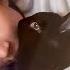 I Ll See You Soon Lennon Saying Goodbye To My Rabbit