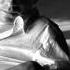 Schindler S List What Is Power