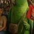 Parrot Badly Injured In Bomb Blast While Heading To Watch RCB Final Match Rcb Parrot Ai Blast