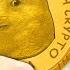 The TRUTH About 1 Dogecoin