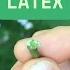 Latex To Identify Trees