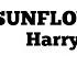 Harry Styles Sunflower Vol 6 Lyrics