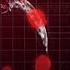 Can Data Tracking Curtail The Coronavirus Pandemic Covid 19 Special
