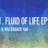 Good Mood Fluid Of Life EP Marco Resmann WRG016