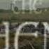 Fields Of Athenry Mary Duff