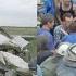 8 Months In Ukraine Euromaidan MH17 Part 4