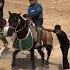LEGENDA CHINOR Horse Animals Cute Reels Respect Shorts