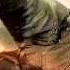 Harry Potter And The Deathly Hallows Part 2 Soundtrack 1 Lily S Theme Extended