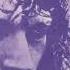 Brian Auger S Oblivion Express Freedom Jazz Dance Second Wind 1972