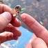 ALL Fisherman Need This For Christmas Fishing Giftideas Fishinglures