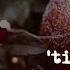 Taylor Swift Tis The Damn Season Lyrics