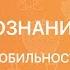 Обществознание 8 класс Социальная мобильность