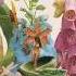 Monster Rally Mystery Cove LP Full Album