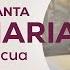 MISA DE HOY Domingo 1 De Junio Magdala Tierra Santa Misa En Vivo De Magdala
