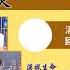 大宇 模仿 邓小平 搞严打 最高检下指示 从重从严从快解决恶性案件