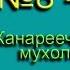 Мухоловка Канареечные мухоловки Голоса птиц