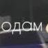 за тебя калым отдам
