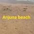 Anjuna Beach Goa Legala Beach Fun Activities Goa Beach