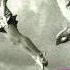 SPYRO GYRA Let S Say Goodbye