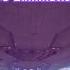 Fortnite Star Destroyer Easy 300 000 XP 30 Eliminations Win Secret Quests Accolade Achievements