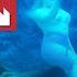 There S A Mermaid Show In Florida