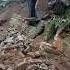 LANDSLIDE AT MANGKOLEMBA SUB DIVISION DUE TO HEAVY RAINFALL