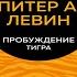 Пробуждение тигра Исцеление травмы Легендарный бестселлер Питер А Левин Аудиокнига