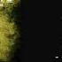 Terror Overcome Cover Backing Track Minus Drums