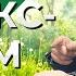 Релакс стрим Настраиваемся на успех и общаемся