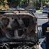 6 Dead After Jet Crash Torches San Diego Homes FOX 11 LA
