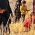 Love And Affection Among Nomads A Story Of The Troubled Life And Empathy Of A Nomad Family