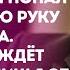 Каждой твари по паре сказал гость на свадьбе и попал под гарячую руку жениха А что его ждёт