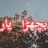 Mera Bichra Yaar Urdu Lyrics Strings