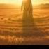 Aliens Espionage Crop Circles And The CIA Coverup They Don T Want You To Know