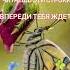 Всё будет хорошо ты только верь будьсчастливмир мотивация