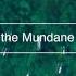 ES Beauty In The Mundane Ooyy Remix